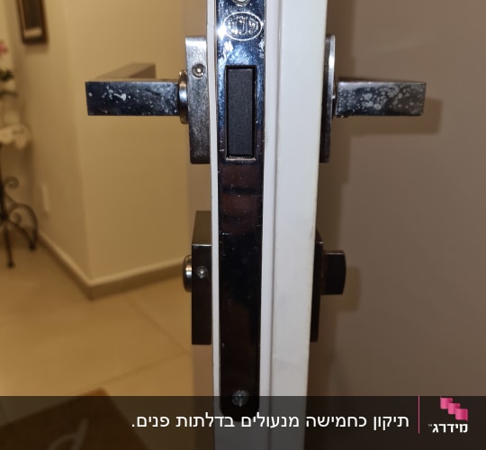 מנעול דלת מתכת עם ידית כסופה